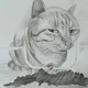 Soules_Chats игры/общ