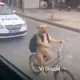 спирит