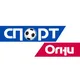 Спорт Огни