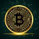 StableCrypto Gains 💰 - Зарабатывайте с нами, не упустите свой шанс!