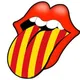 Clar i Català Expressions catalanes, adhesius, mems, preguntes...