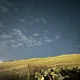 قروب صور ستريك