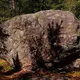 Arhi & Suomen Salattu Historia - Natiivi-Eurooppa ja Suomi