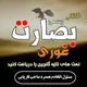بصارت غوری