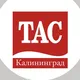 TAC Калининград - текстиль для дома / постельное белье