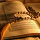 Tafsiirka Sh. Abdinasir