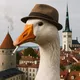 Talks In Estonia