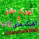 تورک طنز و آهنگ های ناب