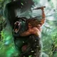 Tarzan's Jungle