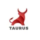 TAURUS FINSERV