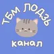 INFO-Таварыства беларускай мовы ў Лодзі