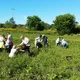 TEF Agribusiness, Food Processing, Digital Marketing & Related Projects