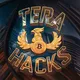 Tera Labs(learn &amp; earn)