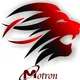 Motroninvestment