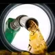 Canal Oficial Combustible Ticket HLG
