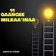 QAANQEE MILKAA'INAA