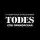 TODES СПБ Приморская