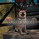 TogoShop