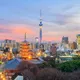 Japan work group
