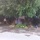 TOLTAGI MAGAZINI