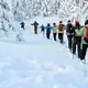 Toronto Snowshoeing گروه برف نوردی تورنتو