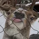 ПЕРЕЕЗД Alxxxx