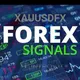 GOLD MARKET KILLER group