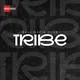 TRIBE | СПОРТИВНАЯ МАФИЯ БАЛИ | ФИИМ