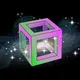 TRINITY V2 Token Launch Portal