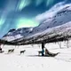 Tromsø 2022 😍❄️🌄