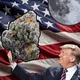 TrumpWifNug