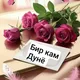 БИР КАМ ДУНЁ