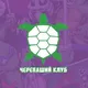 Turtles Club
