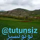 توتونسیز iran tutunsiz همیشه سبز