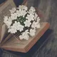 ζั͡✾ ﹏*خــاتںـرەمـدںن♡࿐
