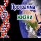 31.01 - Фестиваль Миллион Здоровых Людей
