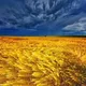 Україна 🇺🇦 Нідерланди 🇳🇱