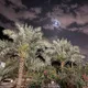 UMMA-KSA 🇸🇦 Медина 🌴 Мекка