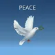 UoG CMHS Students peace forum