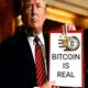 USA VERIFIED CRYPTO🇱🇷 BITCOIN INVESTMENT❤️