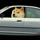 memes - a gently used 20021 honda civic
