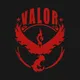 Pokemon Go Hong Kong (Valor）