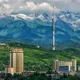 Almaty| Алматы объявления