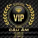 GROUP BCR—VỀ BỜ CÙNG CẬU ẤM (2-50M)YOK