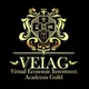 VEIAG Bounty Program