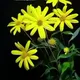 موزیک و ویدئو کلیپ خام برای دکلمه های شما
