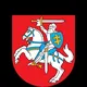 Литва. Виза, ВНЖ и Blue Card для беларусов