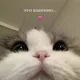 Всё Взаимно 💞 | 👍 Подписки, ❤️ Лайки, 🔄 Реакции