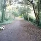 Walk And Talk Ireland