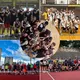 Баскетбол для любителей и новичков, Белград ⛹🏻‍♀️⛹🏻‍♂️
